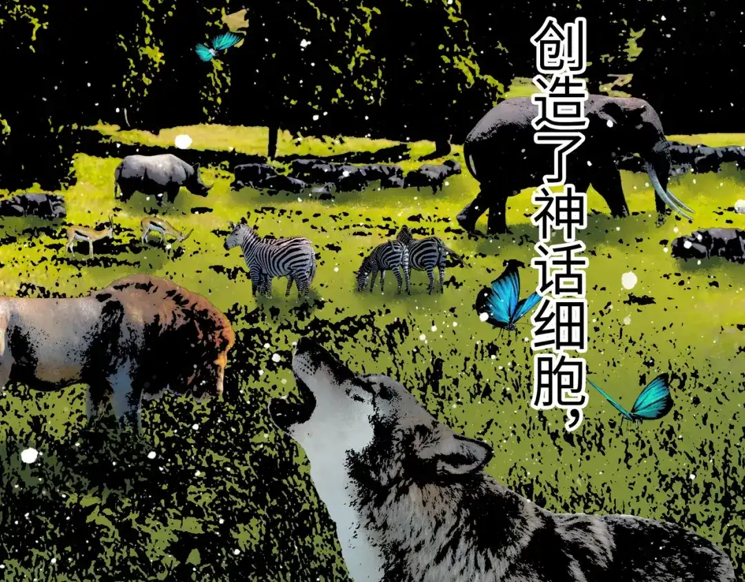 第215页