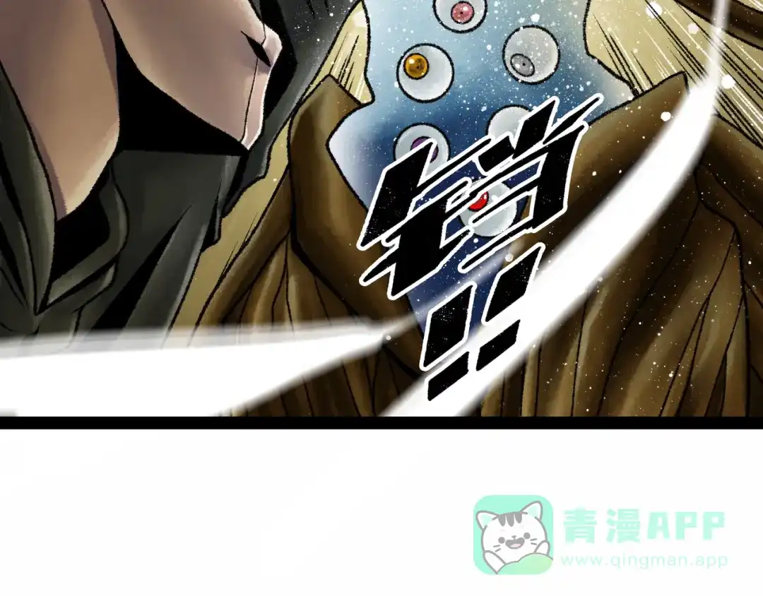 第231页