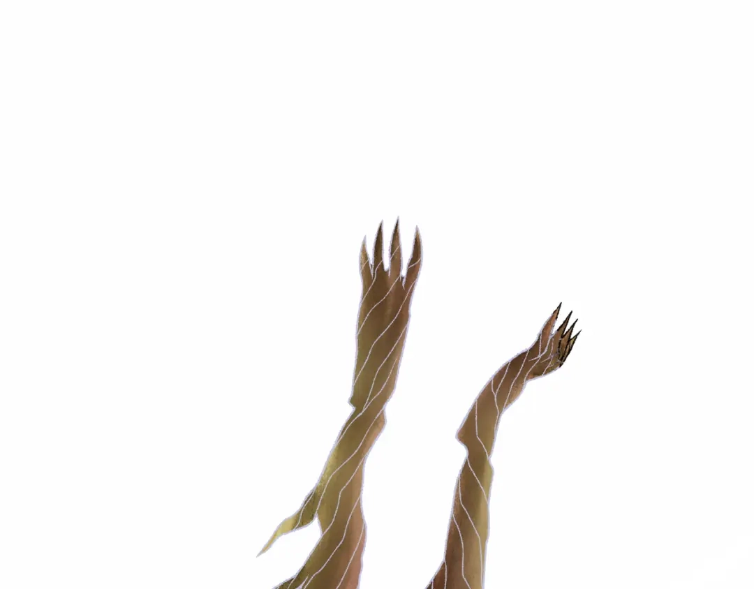 第164页