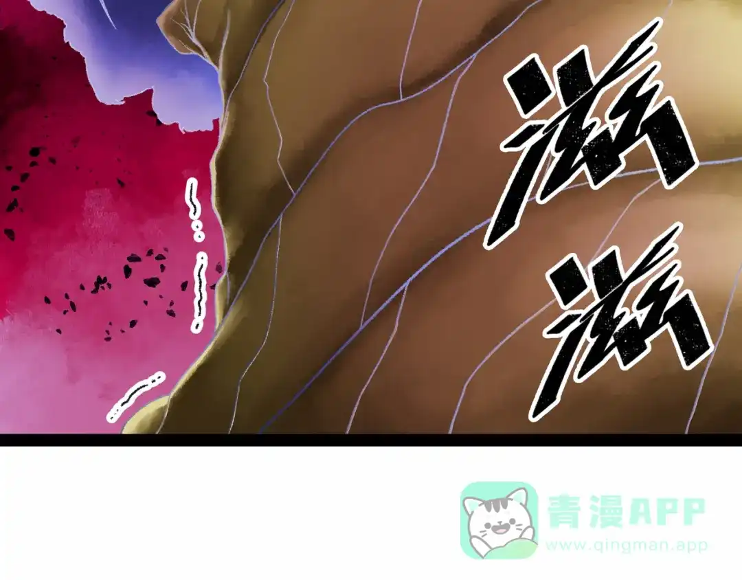 第206页