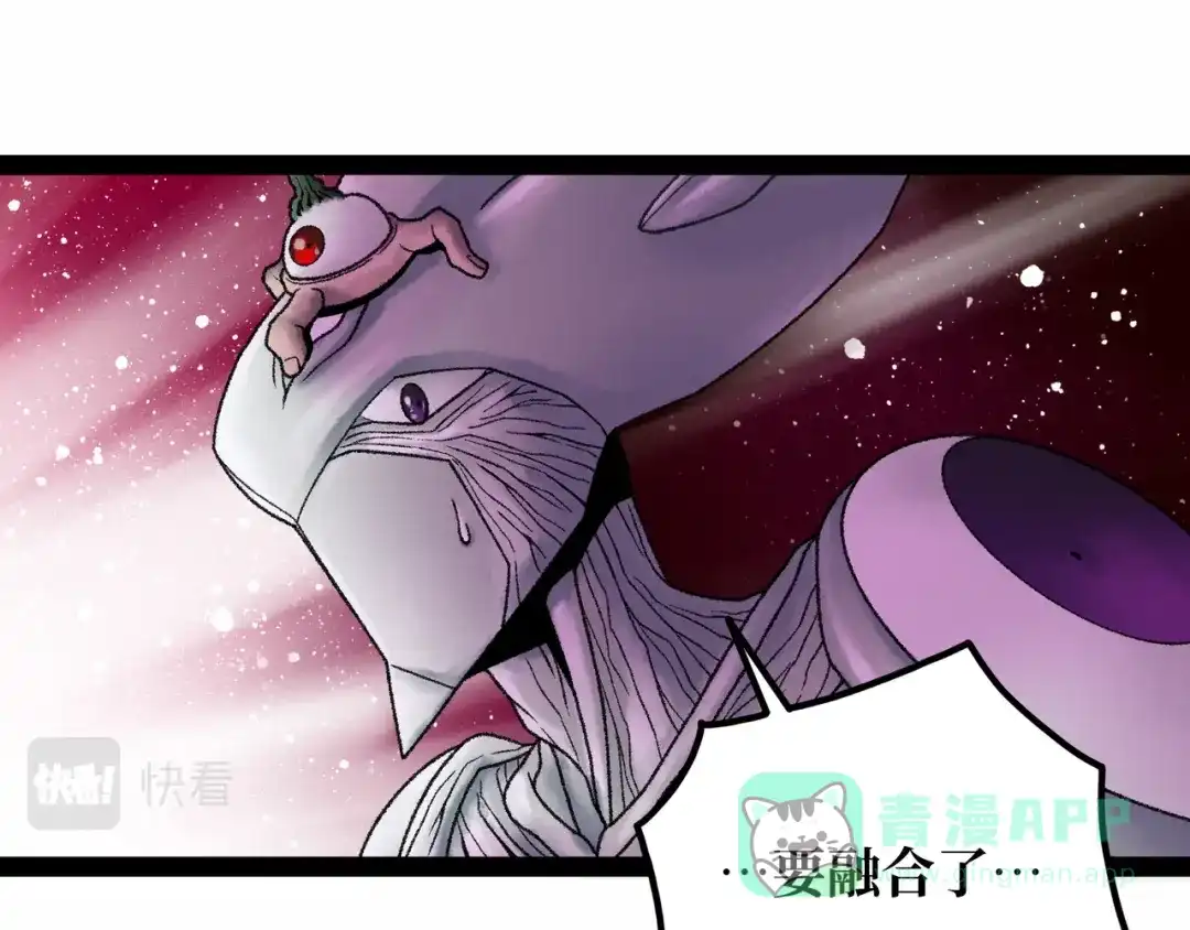 第216页