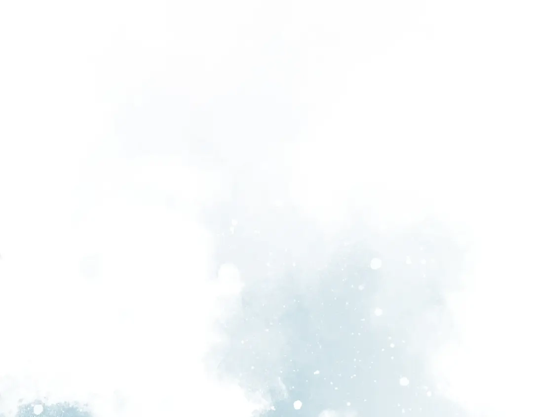 第250页