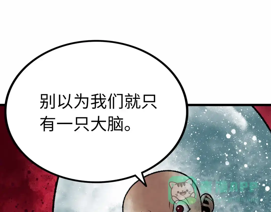第241页