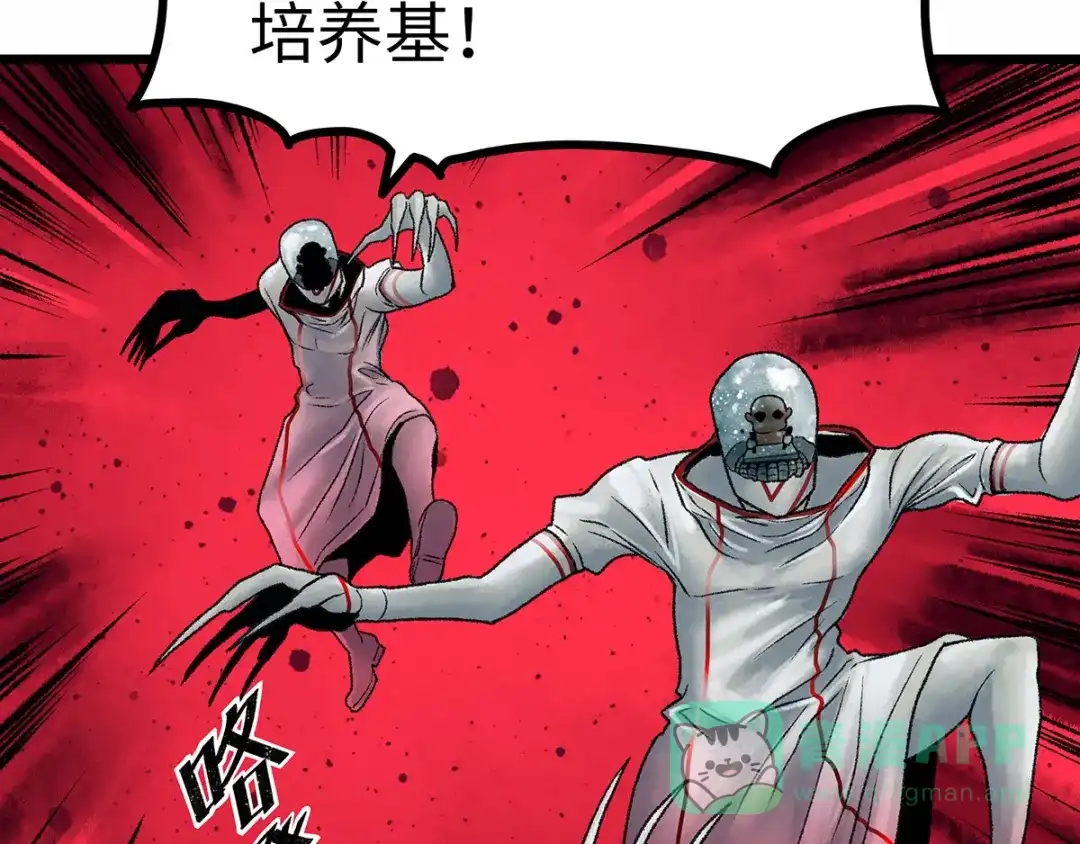 第246页