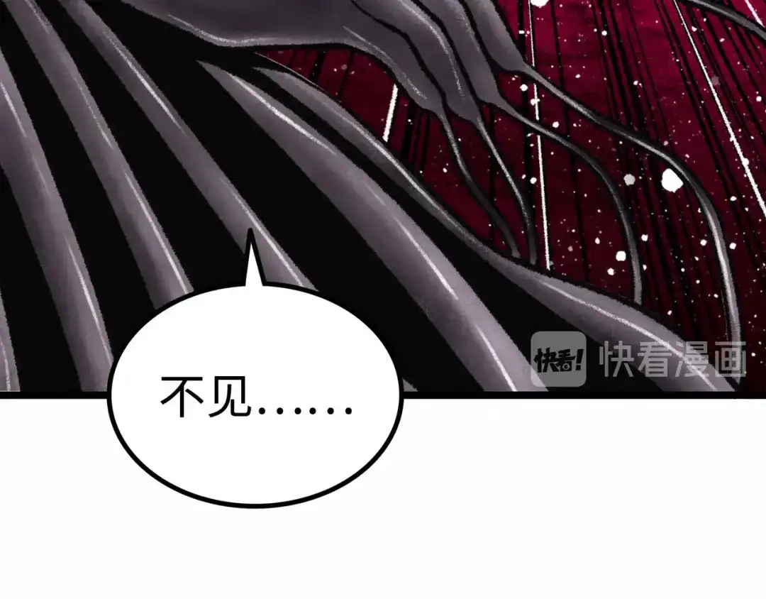 第217页