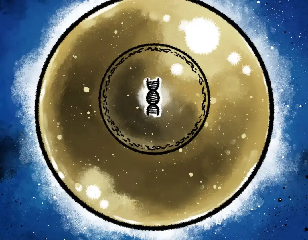 第210页