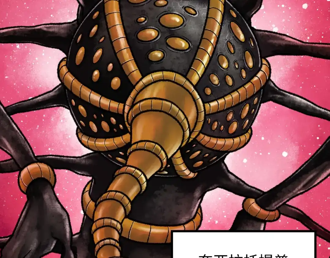 第235页