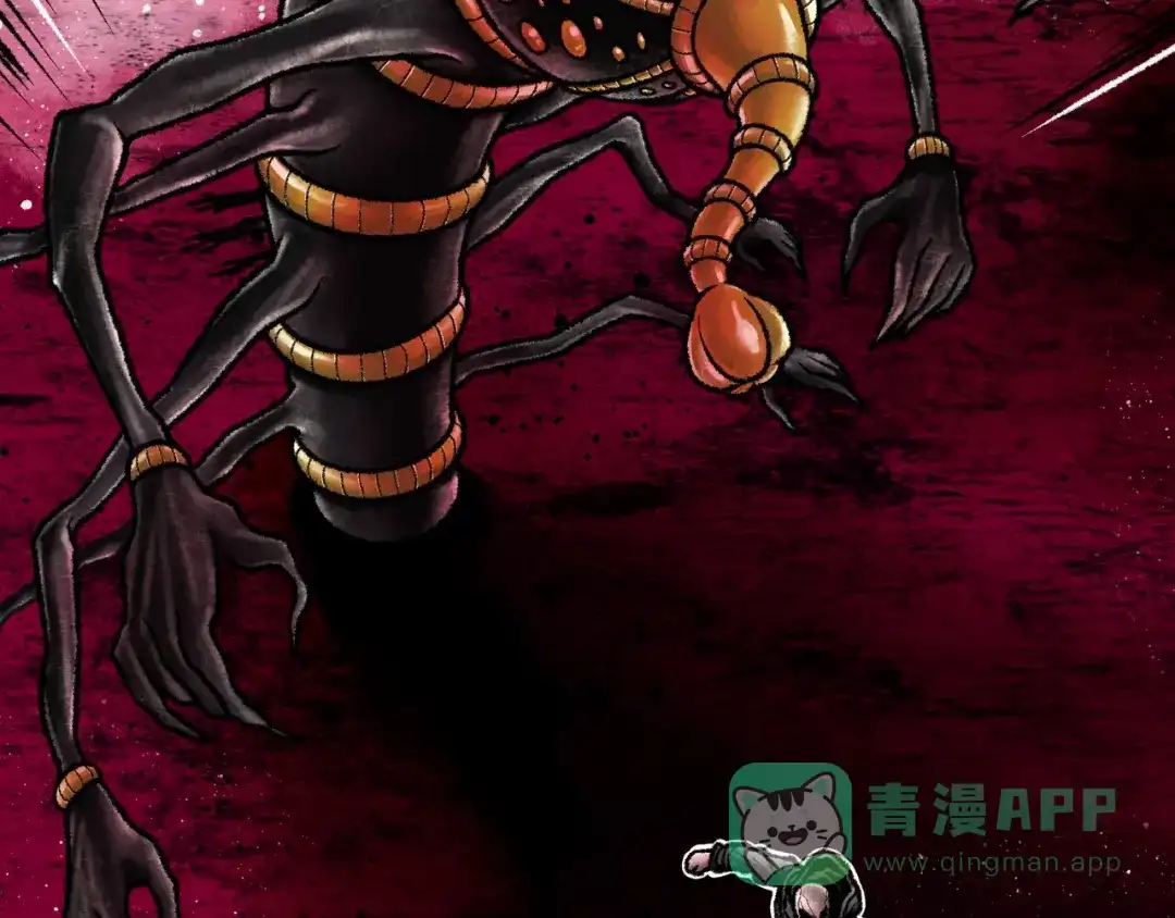 第256页
