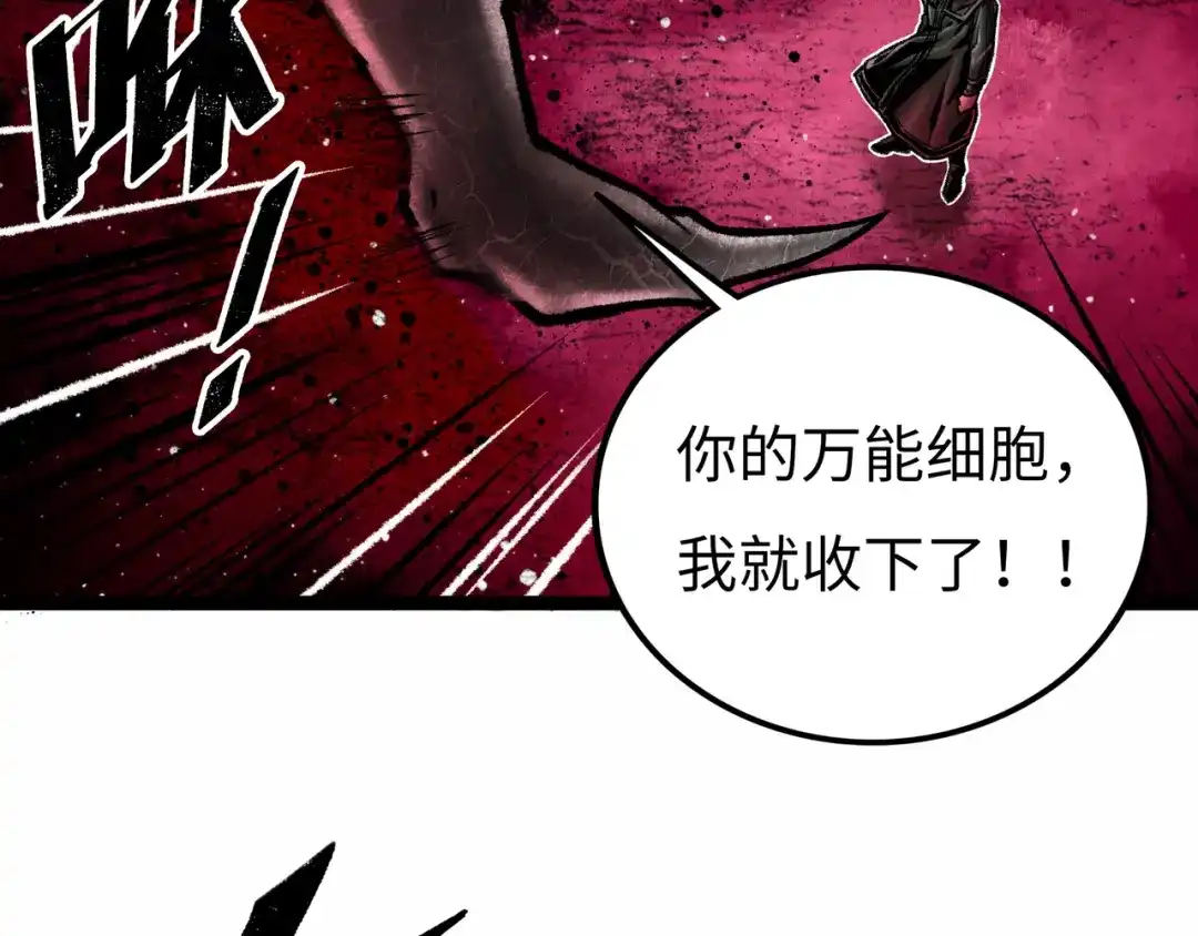 第240页