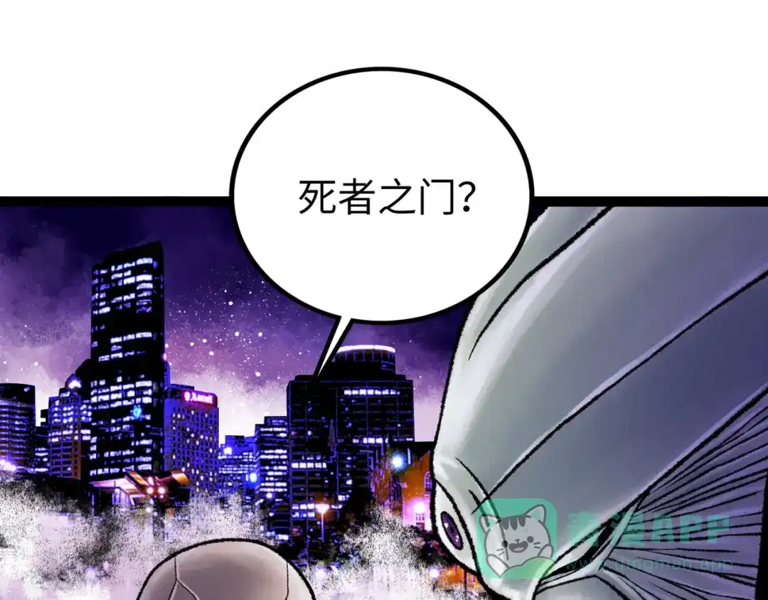第231页