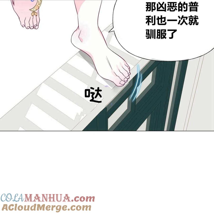 第113页