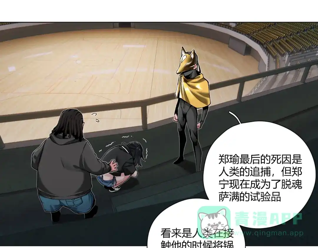 第61页