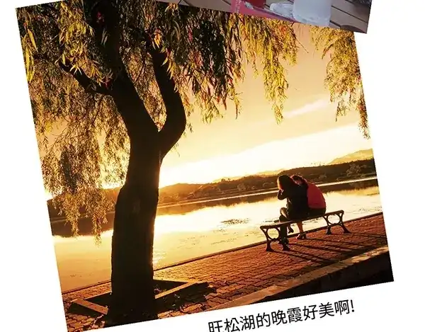 第85页