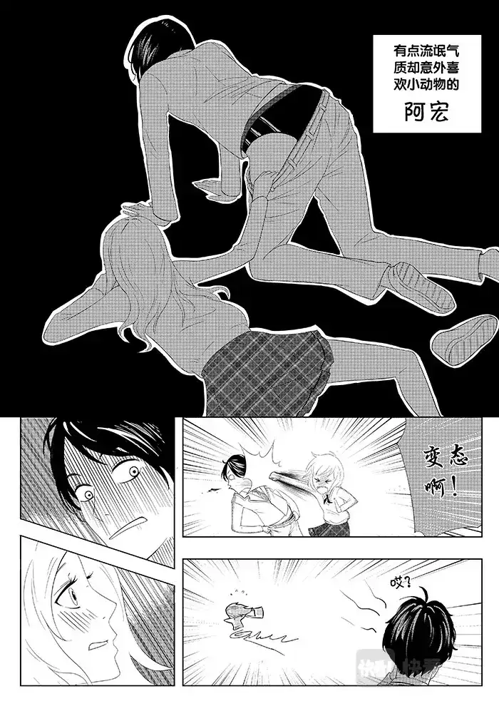 第5页