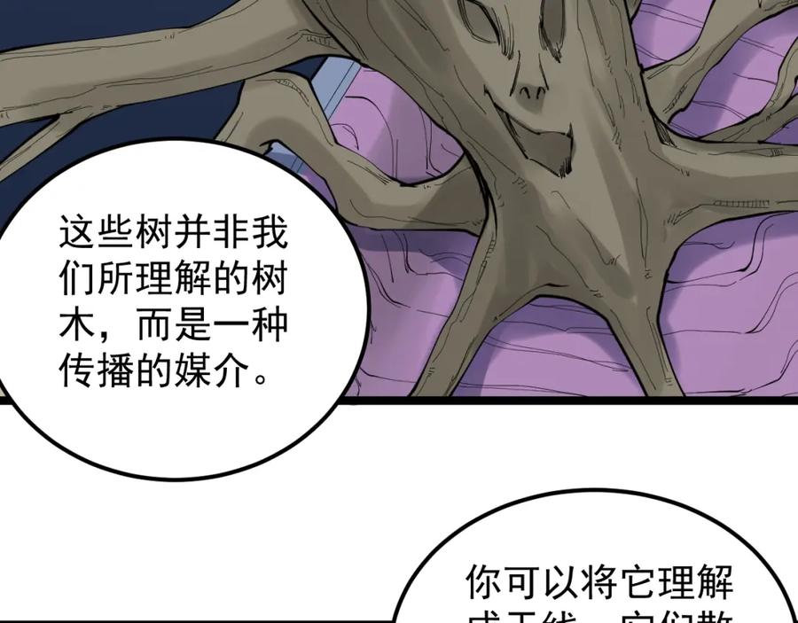 第285页