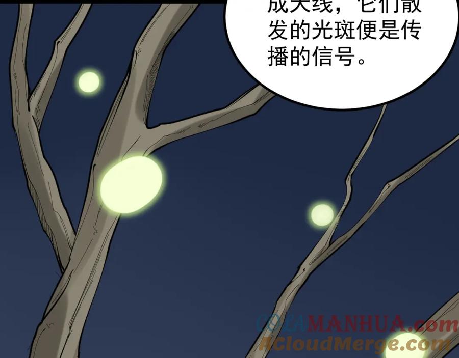 第289页