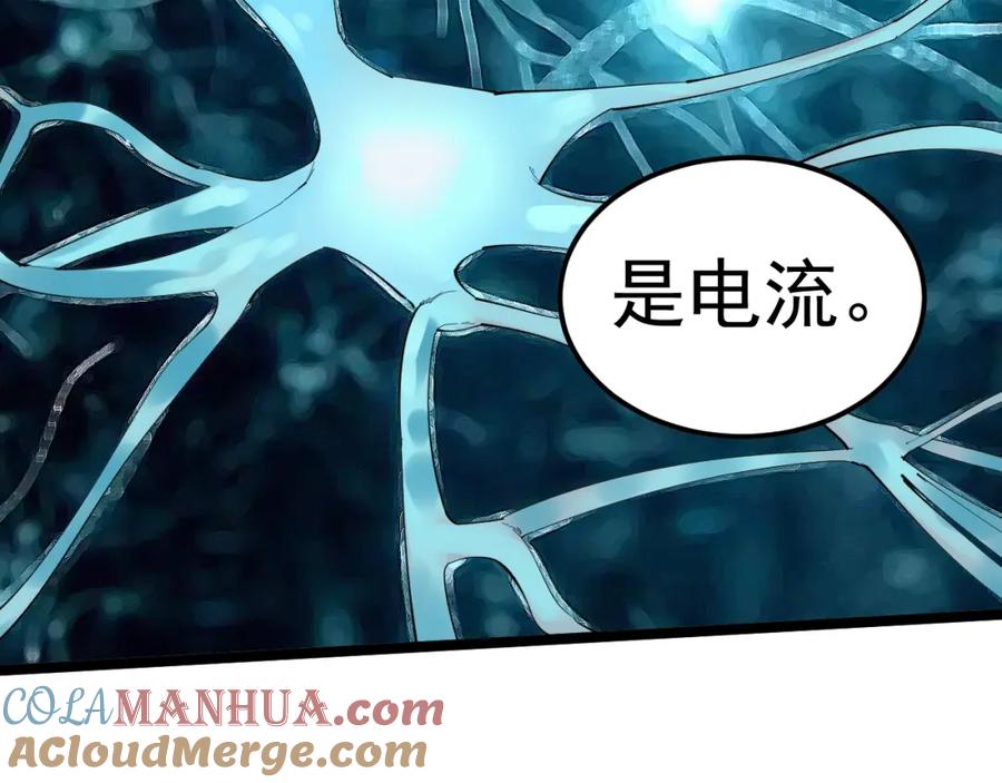 第194页