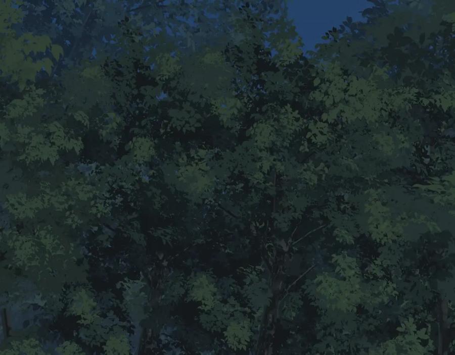 第242页