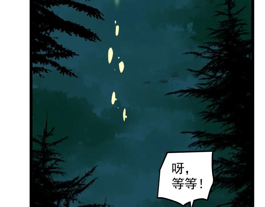 第215页
