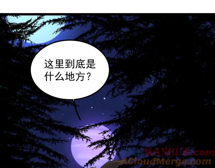 第291页
