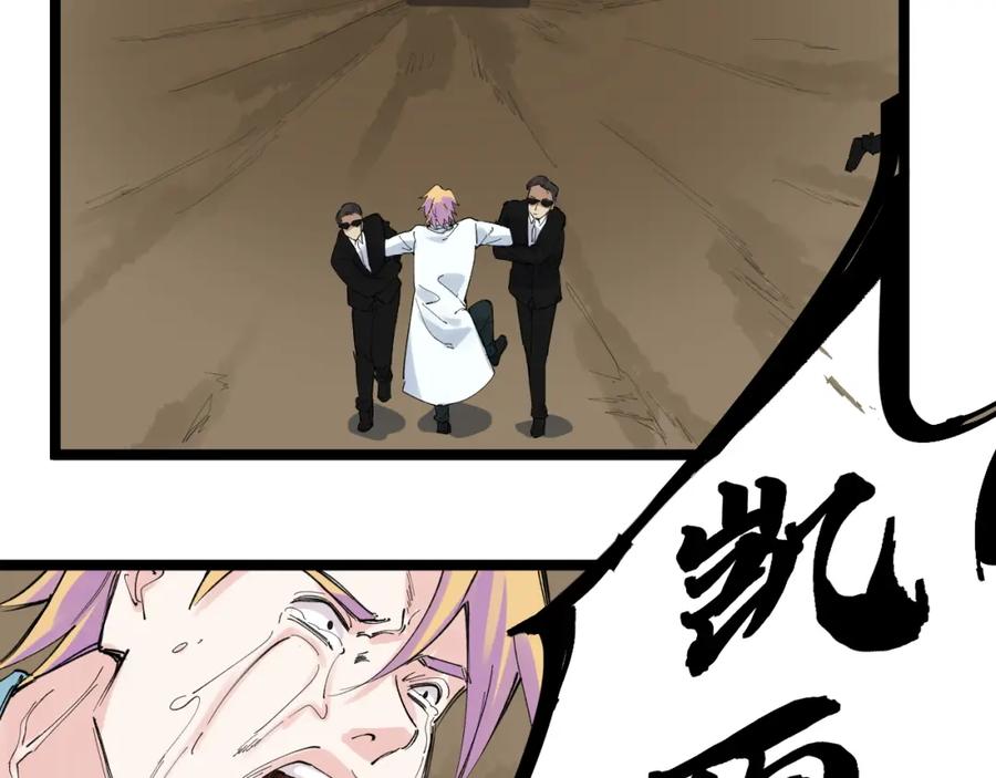 第223页