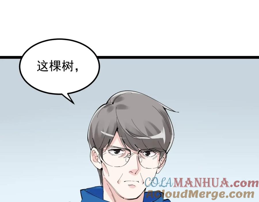 第275页