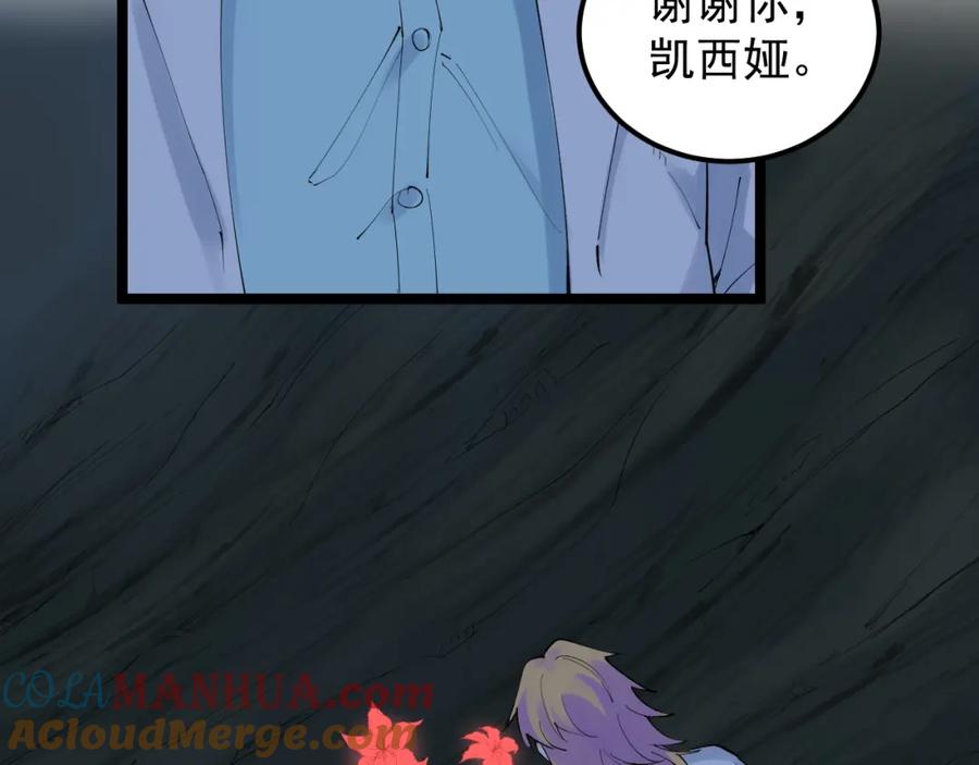 第223页