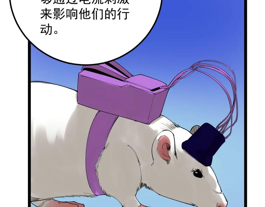 第240页