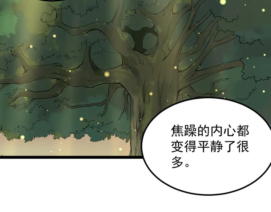 第284页