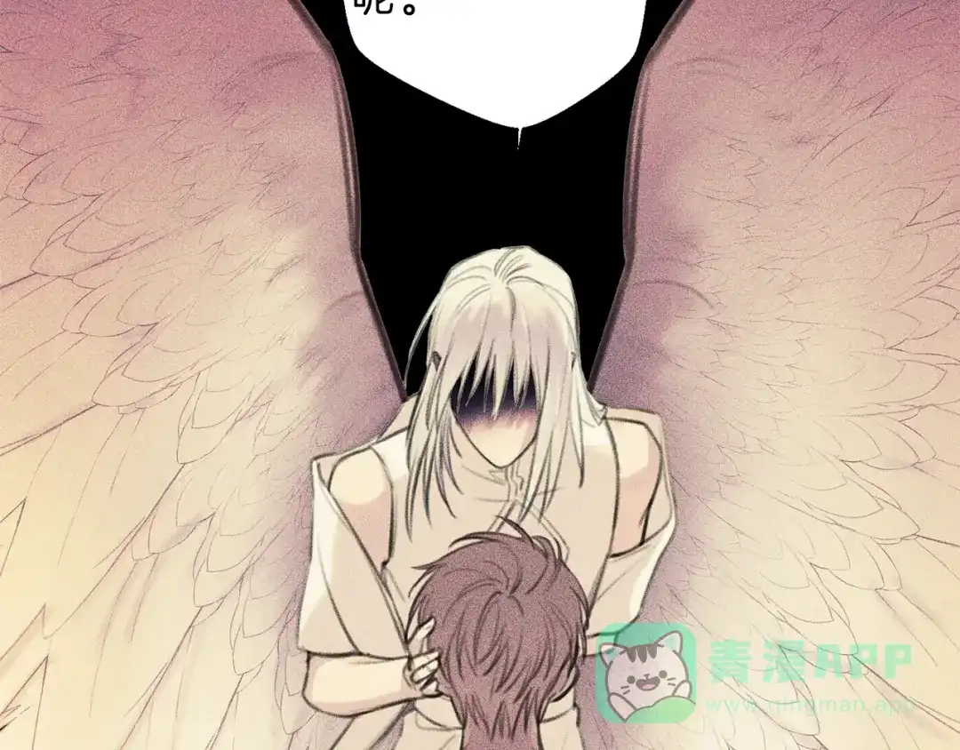 第116页