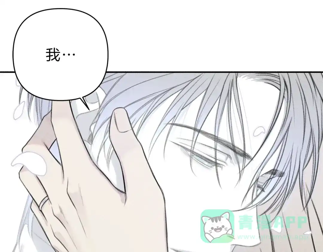 第221页