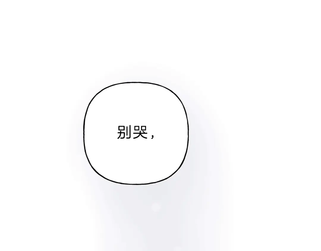 第223页