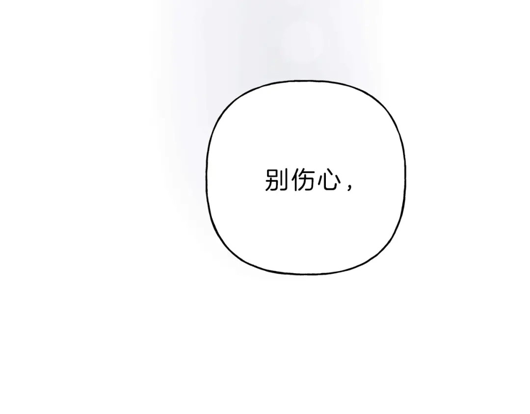 第224页