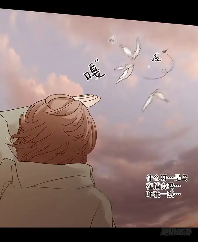 第44页