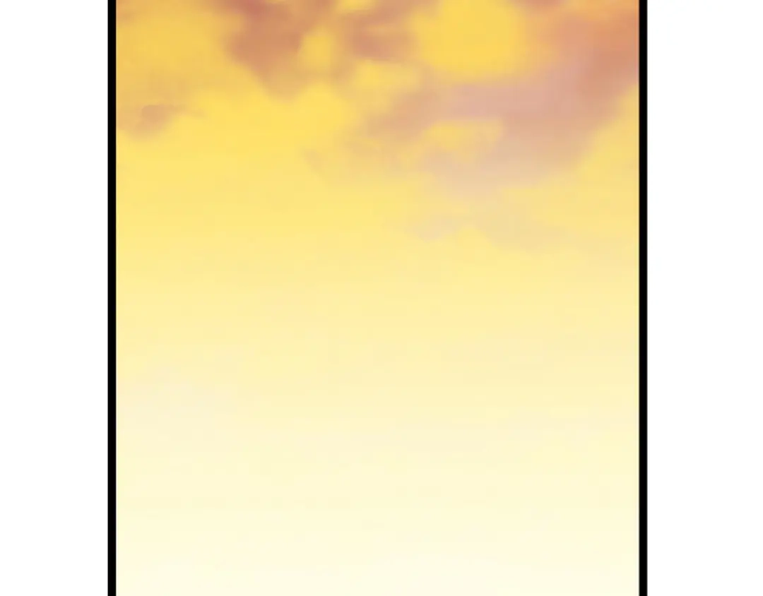第224页