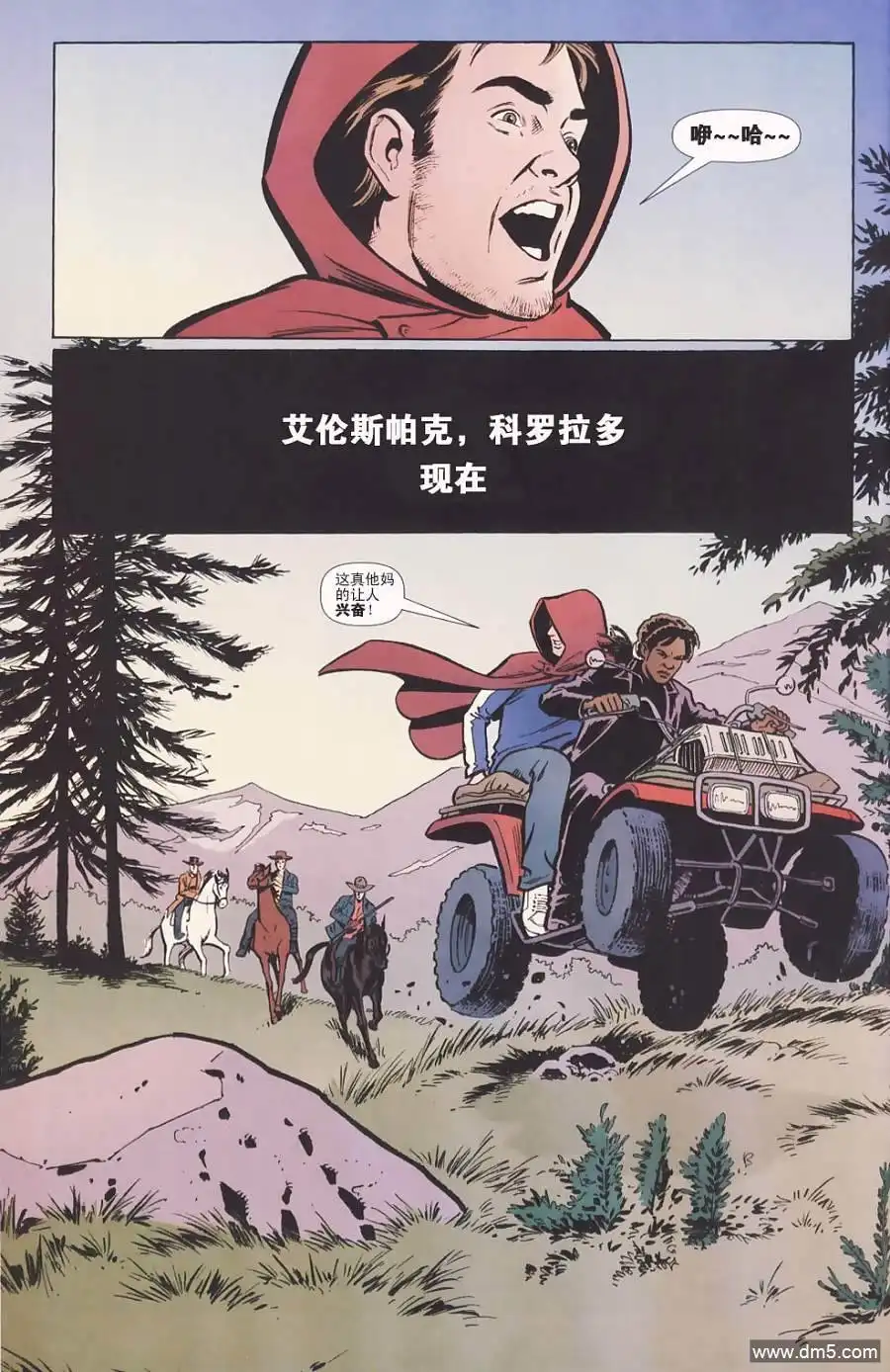 第5页
