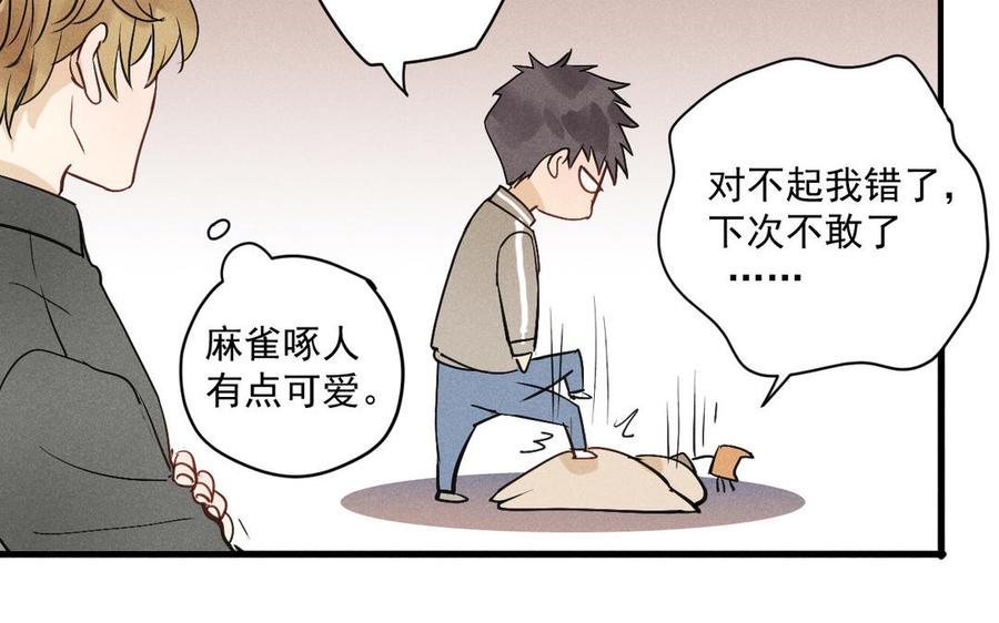 第146页