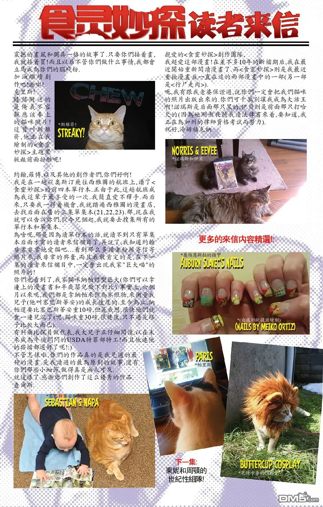 第31页