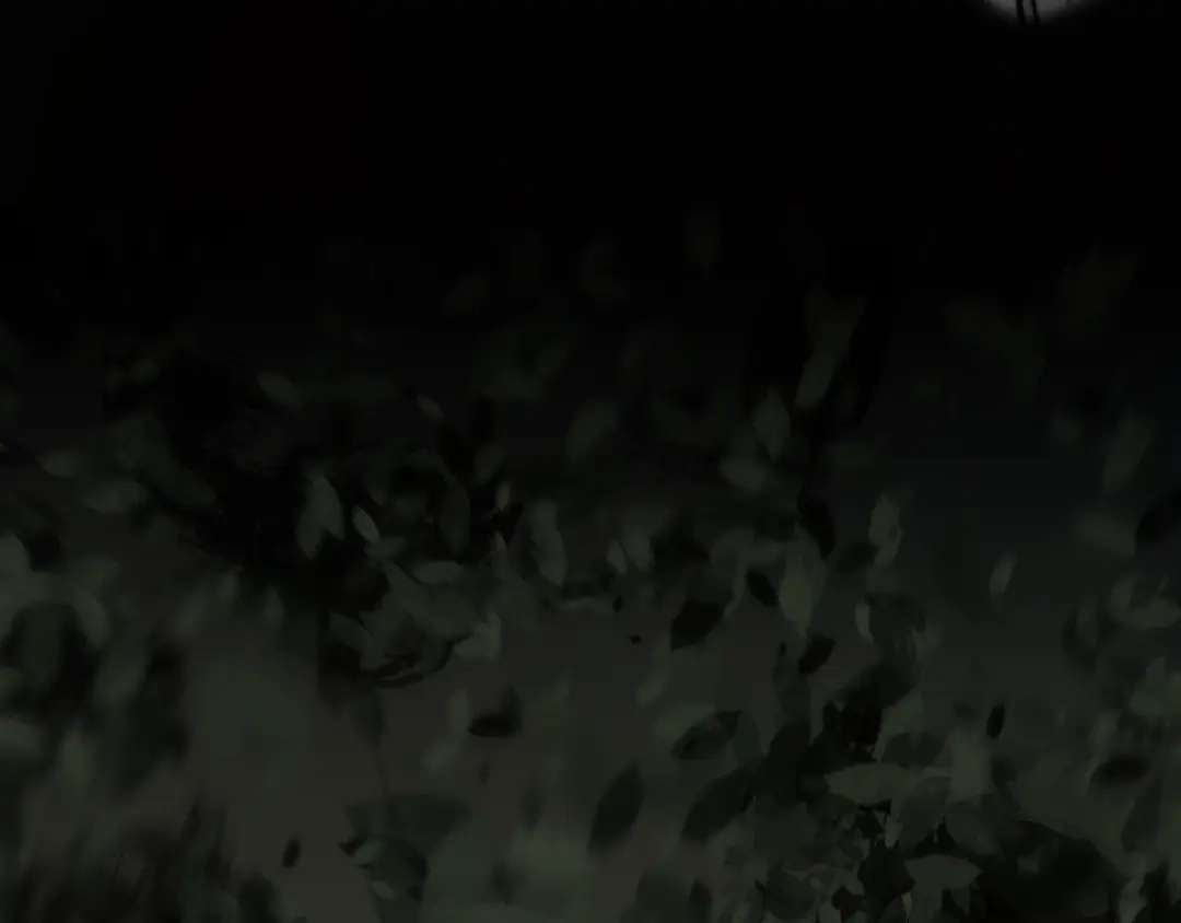第228页