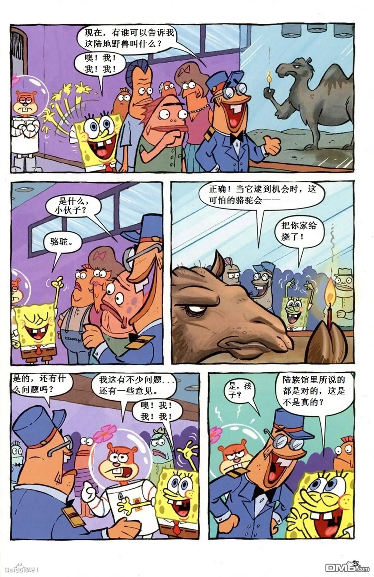 第5页