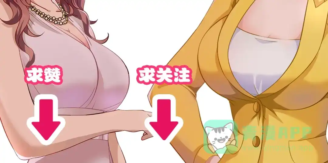 第146页