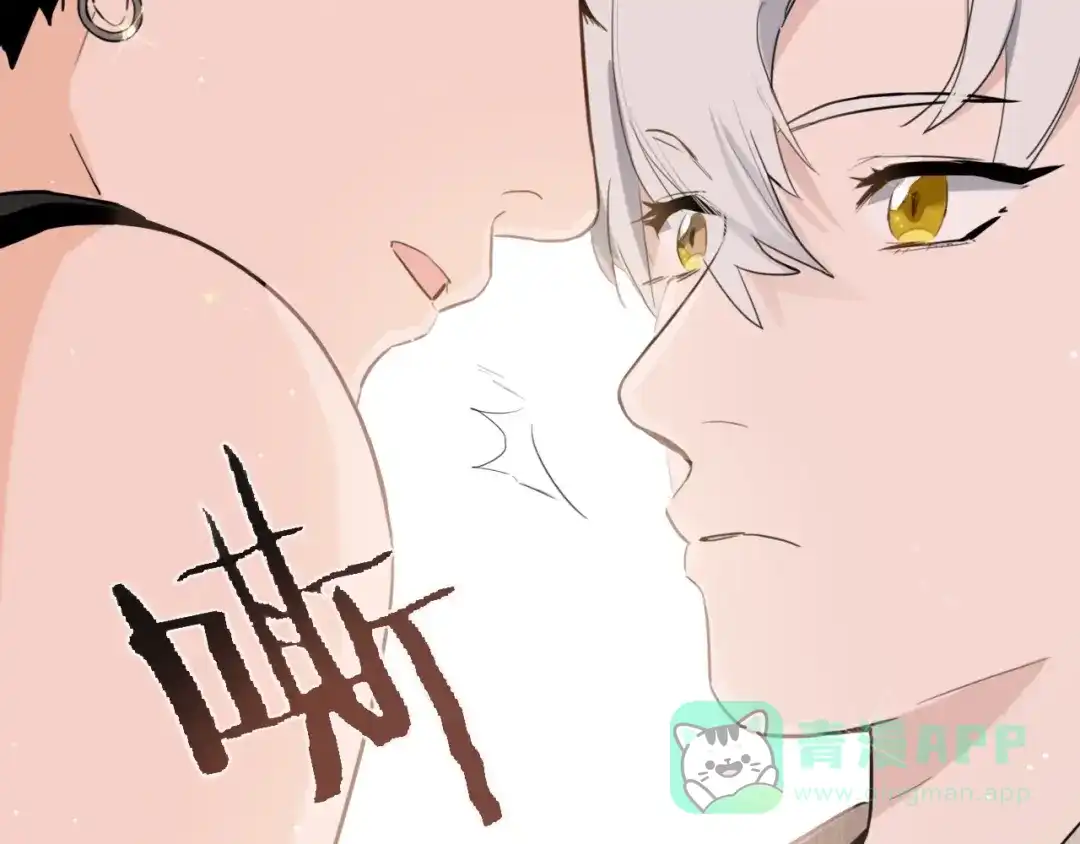 第101页