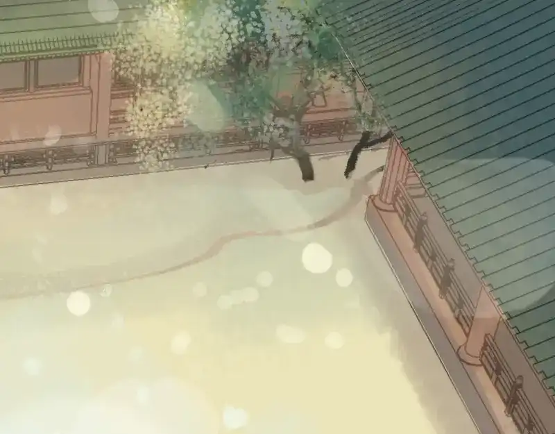 第217页