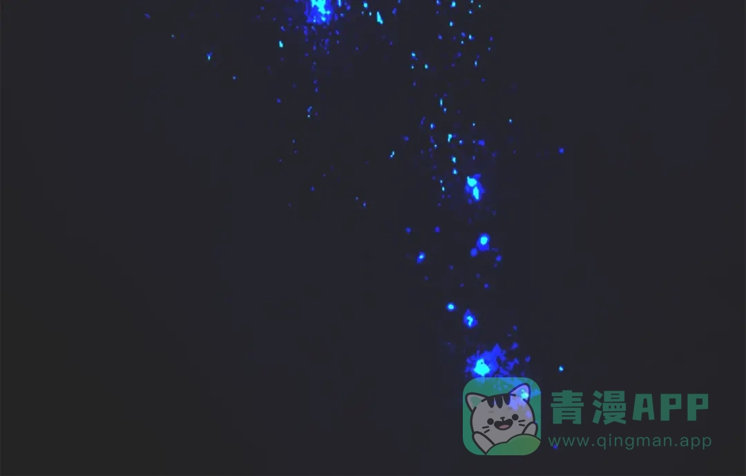 第101页
