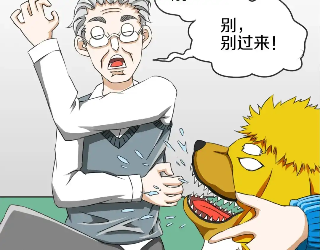 第44页