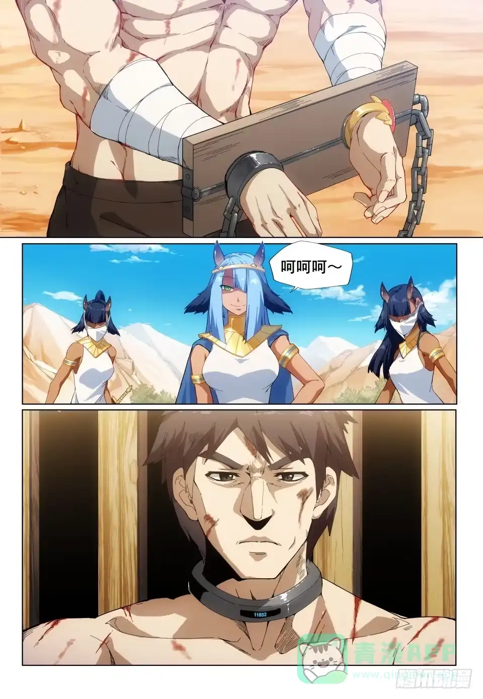 第6页