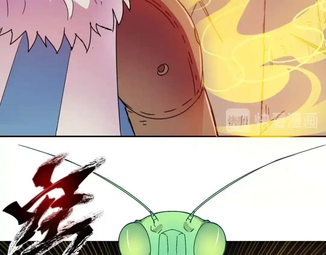 第229页