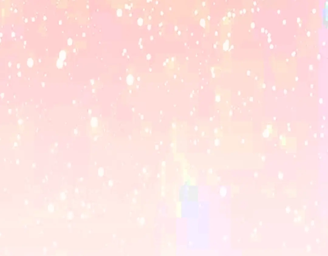 第205页