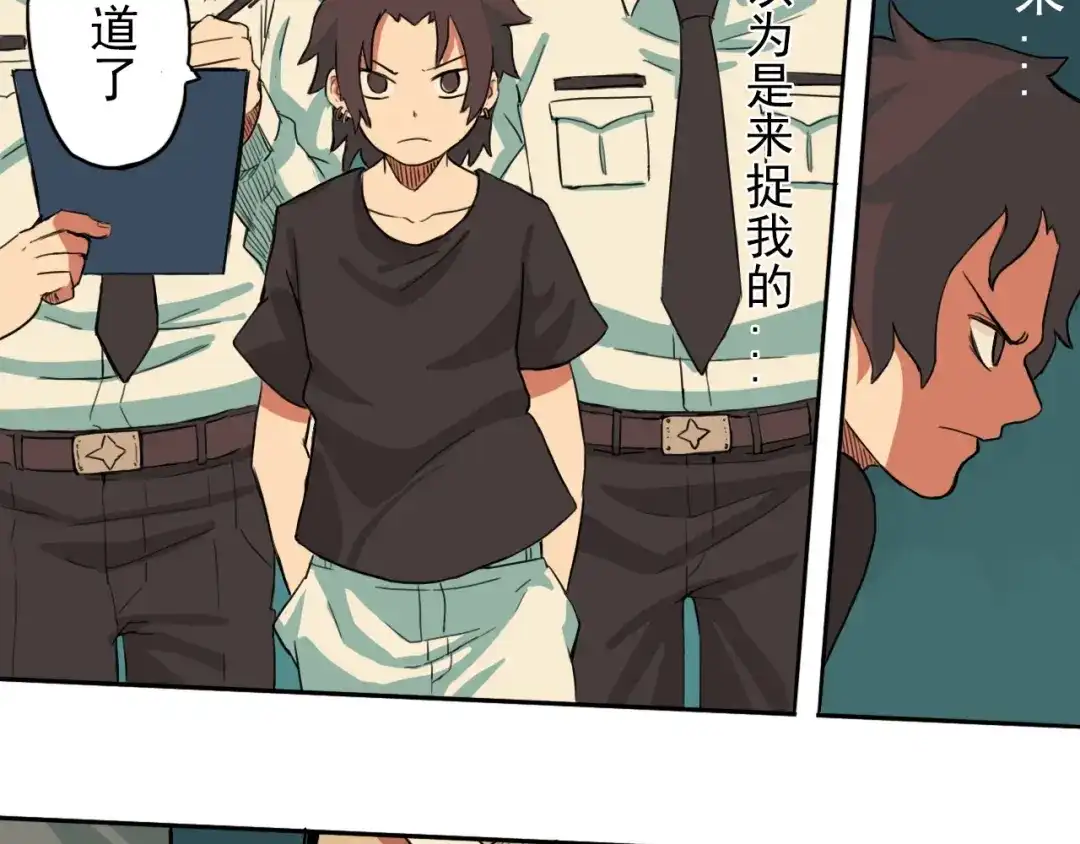 第113页
