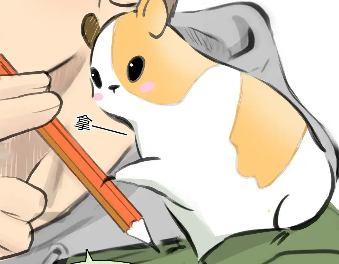 第60页